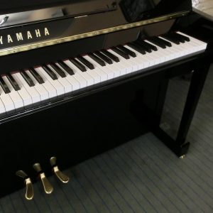 CIMG7428