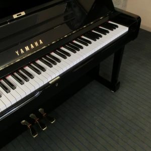 CIMG7553